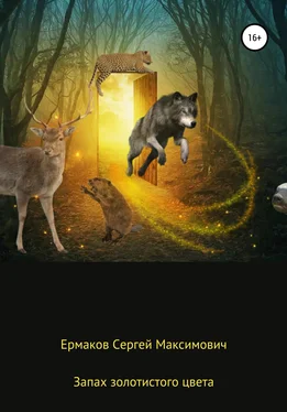 Сергей Ермаков Запах золотистого цвета обложка книги