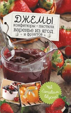 Наталья Сластенова Джемы, конфитюры, пастила, варенье из ягод и фруктов. Готовим вкусно! обложка книги