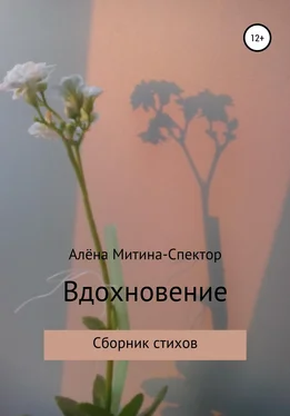 Алёна Митина-Спектор Вдохновение обложка книги