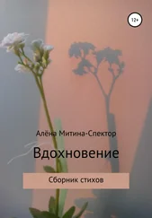 Алёна Митина-Спектор - Вдохновение