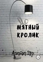 Агата Яд - Мятный кролик