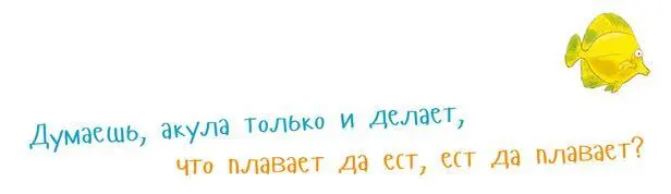 Между прочим это не так акулы куда умнее чем о них думают Некоторые учёные - фото 14