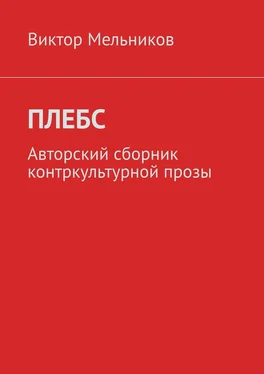 Виктор Мельников Плебс. Авторский сборник контркультурной прозы обложка книги