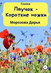 Дарья Морозова - Паучок – Короткие ножки
