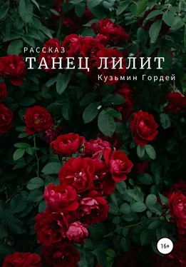 Гордей Кузьмин Танец Лилит обложка книги