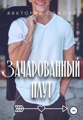 Виктория Сомова - Зачарованный плут