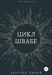 Бертран Лирой - Цикл Швабе