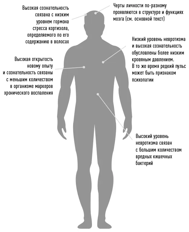 Черты личности не абстракция Они имеют вполне конкретные проявления на уровне - фото 3