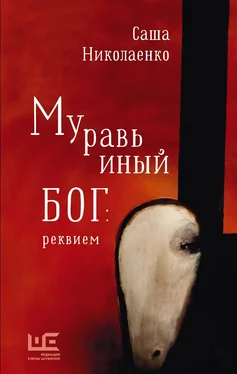 Александра Николаенко Муравьиный бог: реквием обложка книги