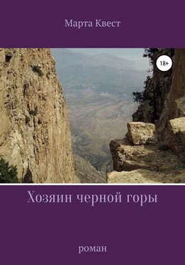 Марта Квест Хозяин черной горы обложка книги