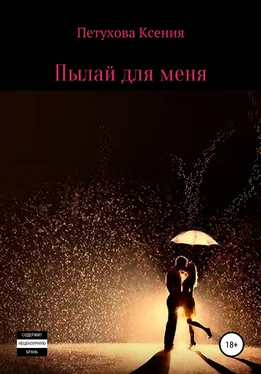 Ксения Петухова Пылай для меня обложка книги