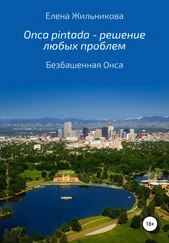 Елена Жильникова - Onca pintada – решение любых проблем