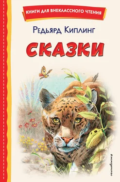 Редьярд Джозеф Киплинг Сказки обложка книги