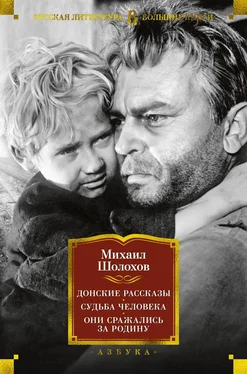 Михаил Шолохов Донские рассказы. Судьба человека. Они сражались за Родину обложка книги