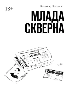 Владимир Шестаков Млада Скверна обложка книги