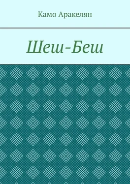 Камо Аракелян Шеш-Беш обложка книги