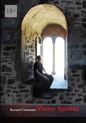 Валерий Симанович - Vector Spiritus