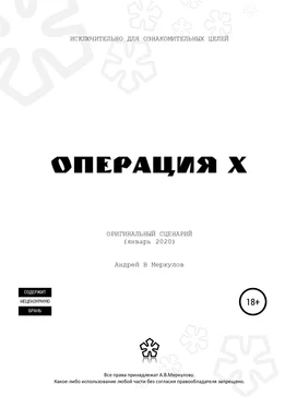 Андрей Меркулов Операция Х обложка книги
