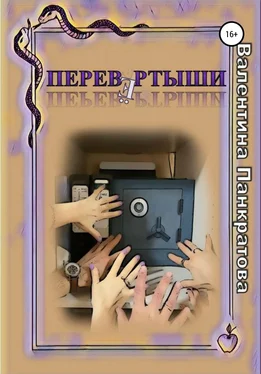 Валентина Панкратова Перевёртыши обложка книги