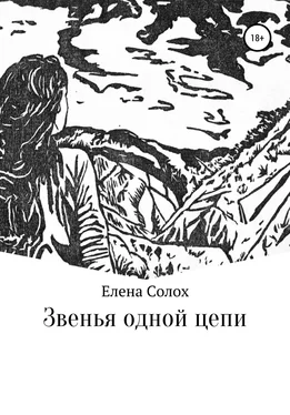 Елена Солох Звенья одной цепи обложка книги