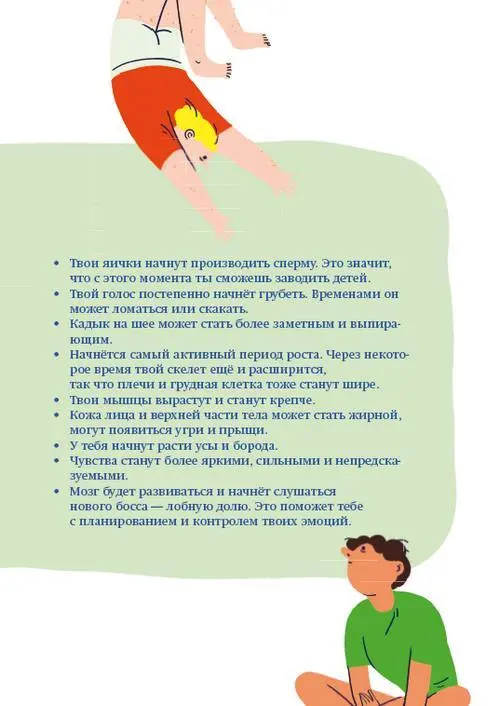 МУЖСКОЙ ГОРМОН ТЕСТОСТЕРОН Половые гормоны есть и у мальчиков и у девочек - фото 8