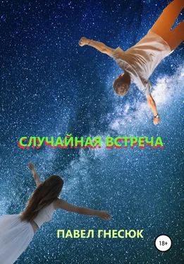 Павел Гнесюк Случайная встреча обложка книги