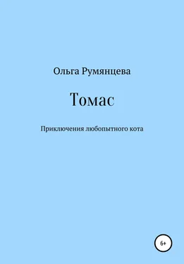 Ольга Румянцева Томас обложка книги