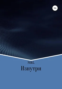 NikL Изнутри обложка книги