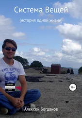 Алексей Богданов - Система вещей