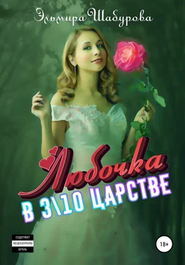 Эльмира Шабурова Любочка в 310 царстве обложка книги