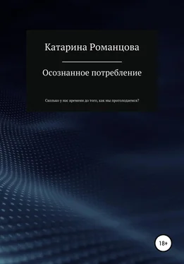 Катарина Романцова Осознанное потребление обложка книги
