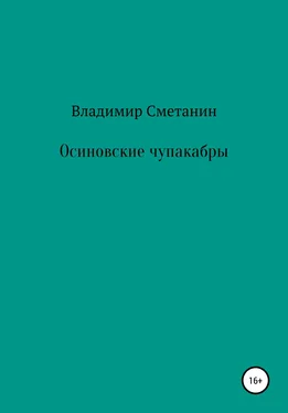 Владимир Сметанин Осиновские чупакабры обложка книги