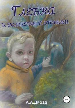 Александр Дрозд Глебка и блуждающие огоньки обложка книги