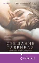 Сильвейн Рейнард - Обещание Габриеля