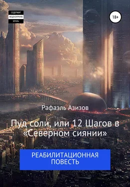 Рафаэль Азизов Пуд соли, или 12 Шагов в «Северном сиянии» обложка книги