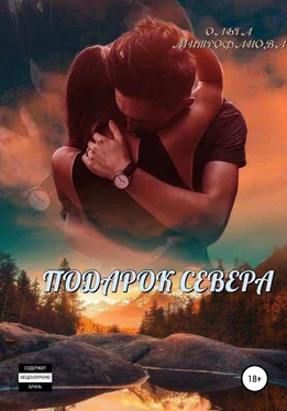 Ольга Митрофанова Подарок севера обложка книги