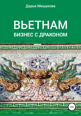 Дарья Мишукова Вьетнам. Бизнес с драконом обложка книги