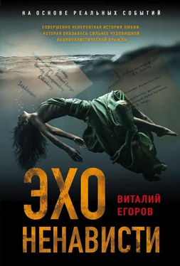 Виталий Егоров Эхо ненависти обложка книги