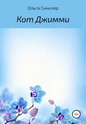 Ольга Синклер - Кот Джимми