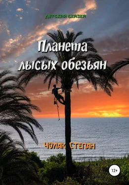 Степан Чолак Планета лысых обезьян обложка книги