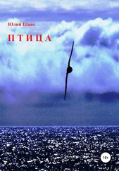 Юлий Шанс - Птица