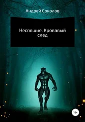 Андрей Соколов - Неспящие. Кровавый след