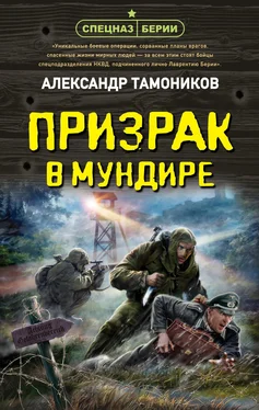 Александр Тамоников Призрак в мундире обложка книги