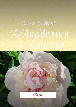 Александр Зверев ААкадемия ААрасту. Оберег обложка книги