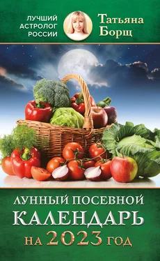 Татьяна Борщ Лунный посевной календарь на 2023 год обложка книги