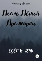 Александр Ломако - После легкой прожарки - свет и тень
