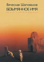 Вячеслав Шаповалов - Безымянное имя. Избранное XXI. Книга стихотворений