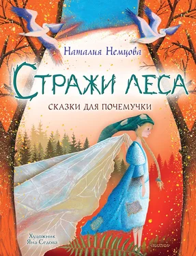 Наталия Немцова Стражи леса. Сказки для почемучки обложка книги