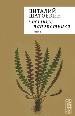 Виталий Шатовкин Честные папоротники обложка книги