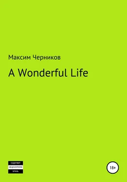 Максим Черников A wonderful life обложка книги